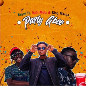 Krymi - Party Gbee ft. Kofi Mole & King Maaga - YooGhana