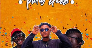 Krymi - Party Gbee ft. Kofi Mole & King Maaga - YooGhana