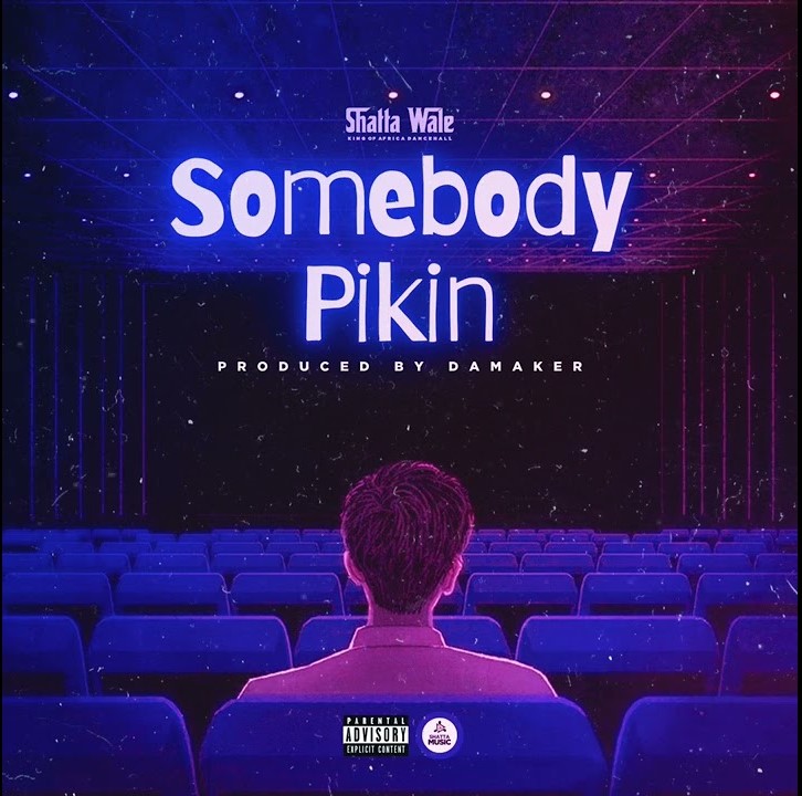 Shatta Wale – Somebody Pikin