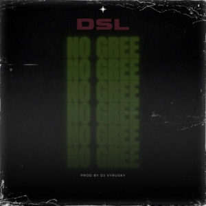 DSL – No Gree