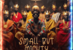 Shatta Wale Small But Mighty