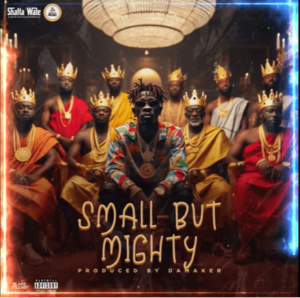 Shatta Wale Small But Mighty