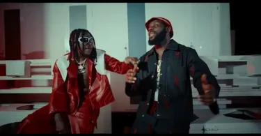 Stonebwoy Ekelebe Video