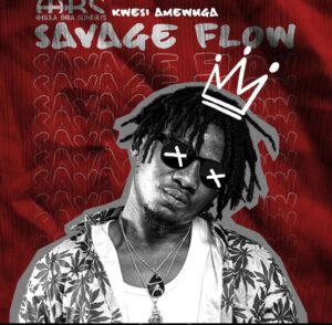 kwesi Amewuga - Savage Flow