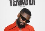 Bisa Kdei – Yenkodi