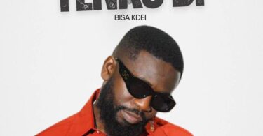 Bisa Kdei – Yenkodi